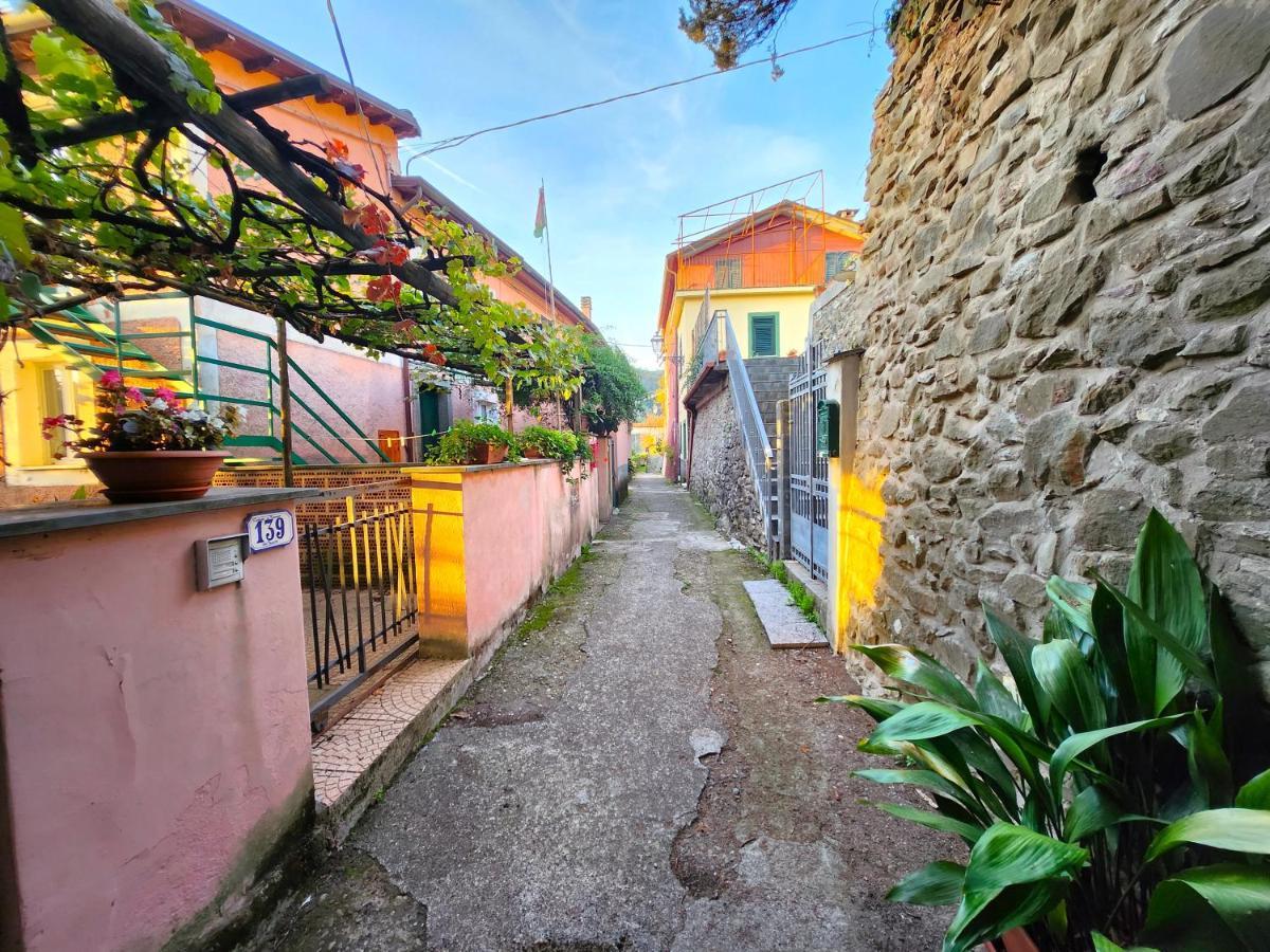 Apartament Casa Faggiona Pignone Zewnętrze zdjęcie